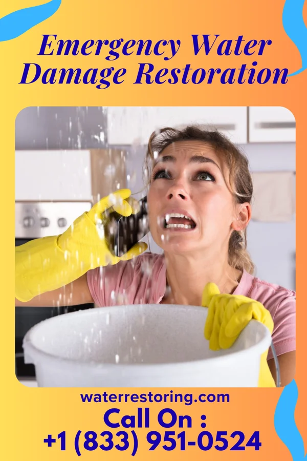 Emergency Water Damage Restoration in Muhlenberg Park, PA