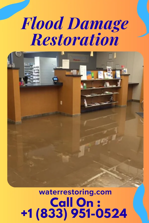 Flood Damage Restoration in Muhlenberg Park, PA