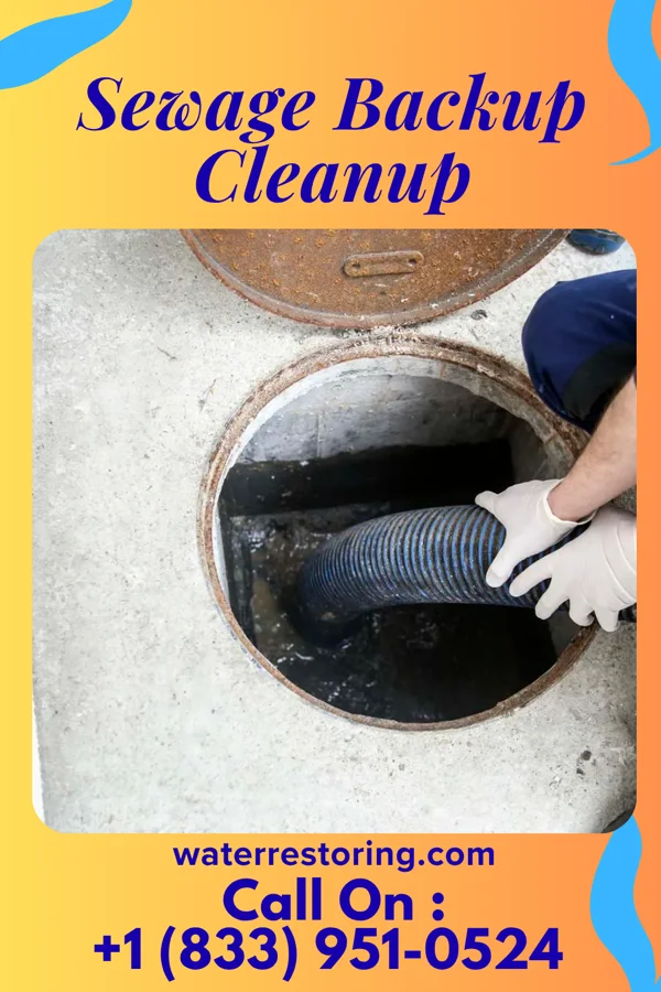 Sewage Backup Cleanup in Muhlenberg Park, PA
