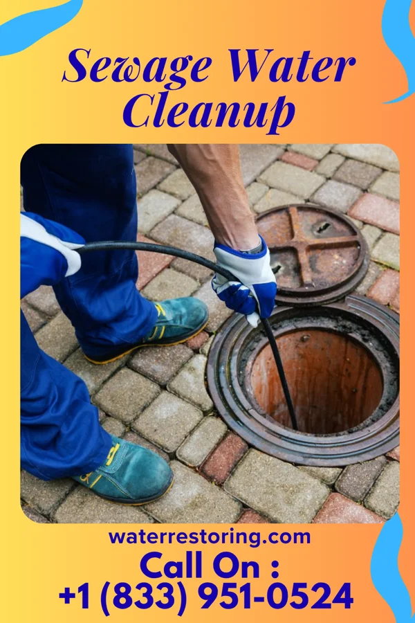Sewage Water Cleanup in Muhlenberg Park, PA